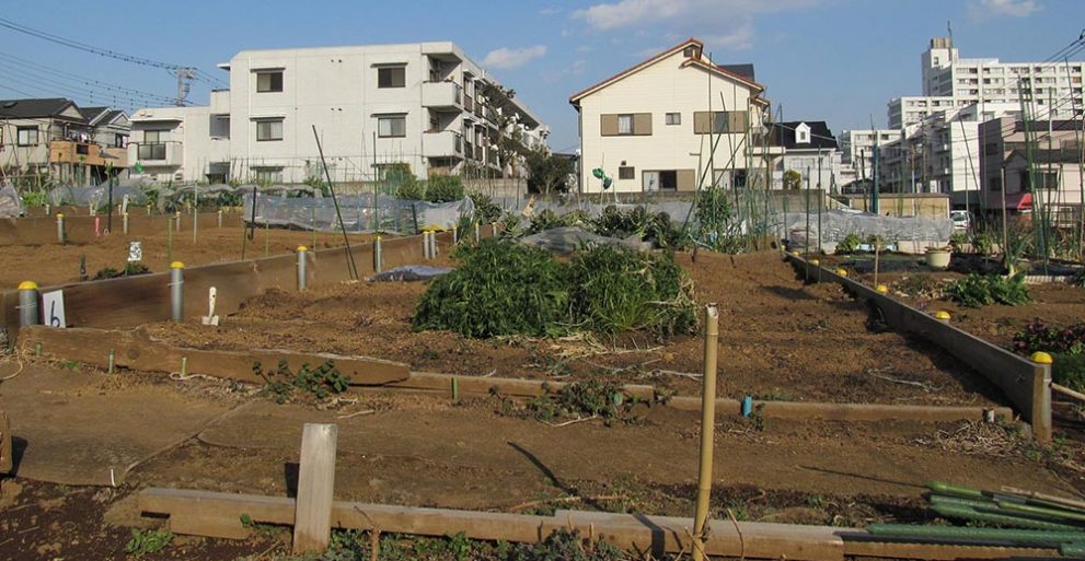 市街地農地